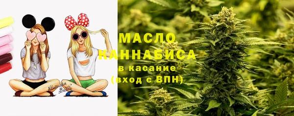 гидра Алексеевка