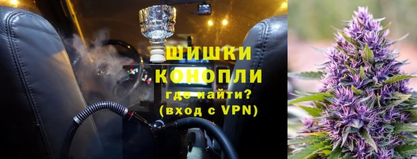 гидра Алексеевка