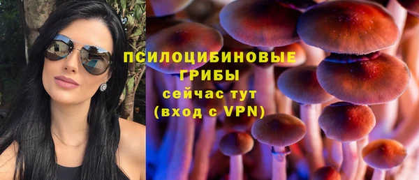 гашик Алзамай
