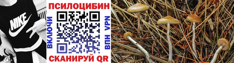 Псилоцибиновые грибы мицелий  где найти наркотики  Лагань 